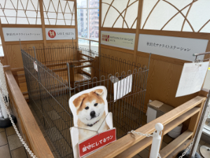 秋田県サテライトステーション