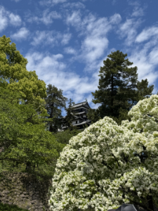 松江城
